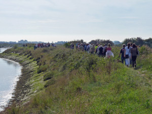 Walk along River Arun to see proposed river crossing